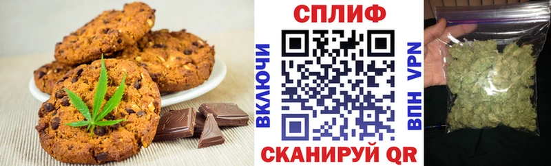 дарнет шоп  mega ссылка  Cannafood конопля  Ивдель 
